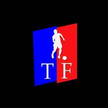 Logo TodaVidaFutsal